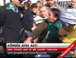 Köpeğe ateş açtı