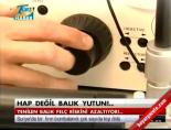 balik yagi - Hap değil balık yutun Videosu