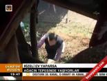 Rizeli ev yaparsa