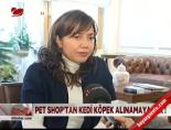kadikoy belediyesi - Petshop'tan kedi köpek alınmayacak Videosu