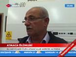 Atmaca ölümleri