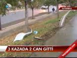 3 Kazada 2 Can Gitti