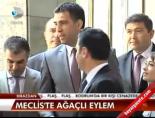 ensar ogut - Meclis'te ağaçlı eylem Videosu