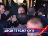 ensar ogut - Meclis'te ağaca çıktı Videosu