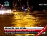 Balıkesir sele teslim