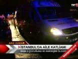 İstanbul'da Aile Katliamı online video izle