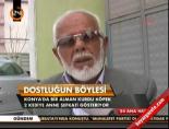 Dostluğun böylesi
