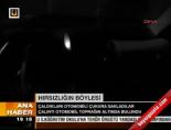 Hırsızlığın Böylesi
