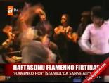 flamenko - Haftasonu flamenko fırtınası Videosu