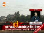 Ceylanpınar Diken Üstünde