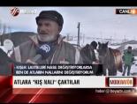 Atlara kış nalı taktılar