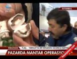 zehirli mantar - Pazarda mantar operasyonu Videosu
