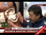 Pazarda mantar operasyonu