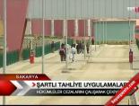 Şartlı tahliye uygulamaları