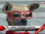 Çinli yetenek Duoduo