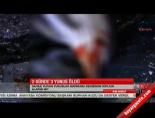 istanbul bogazi - 2 günde 3 yunus öldü Videosu