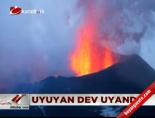 Uyuyan dev uyandı