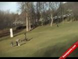 kartal gozu - Açgözlü Kartal Parktaki Çocuğu Kaçırmaya Kalktı Videosu