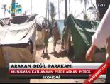 Arakan değil parakan