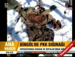 Bingöl'de PKK sığınağı