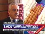Bakkal yumurta satamayacak online video izle