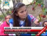 Güzel hava kıskandırdı