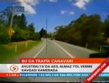 Bu da trafik canavarı