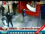 Köpek Balıkları Ortalığa Savruldu