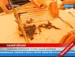 İzmir'de 10 Ton Hamsi Dağıtıldı