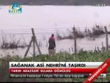 asi nehri - Sağanak Asi Nehri'ni taşırdı Videosu