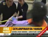 Ceylanpınar'da yangın