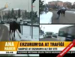 Erzurum'da at trafiği