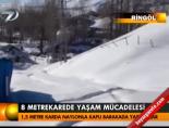 8 metrekarede yaşam mücadelesi