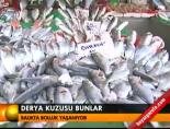 Balıkta bolluk yaşanıyor