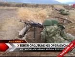 Terör örgütüne kış operasyonu