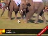 Fillerin futbol karşılaşması