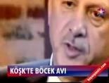 Köşk'te böcek avı