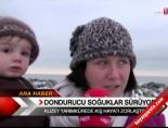 brezilya - Dondurucu soğuklar sürüyor Videosu