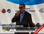 Başbakan Şanlıurfa'da online video izle