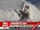 Hakkari'de kar