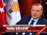 Erdoğan'dan 'böcek' yorumu