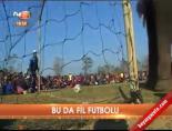 Bu da fil futbolu