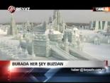 Burada herşey buzdan