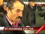 Bit pazarında yok yok