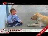 down sendromu - Şefkat... Videosu