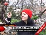 Doğuda Kış, batıda Bahar