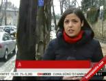 Asırlık çınarların akıbeti