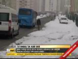 İstanbul'da Kar Var