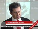 Organlar arası surf