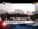 Bıyık Donduran Soğuk:-31